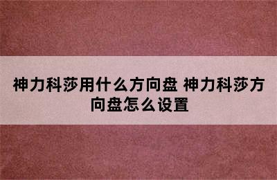 神力科莎用什么方向盘 神力科莎方向盘怎么设置